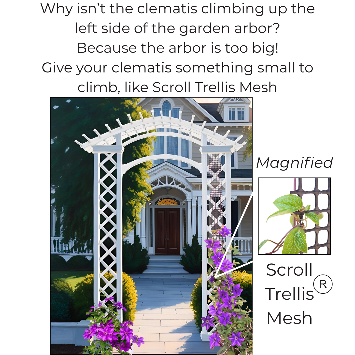 Narrow Garden Trellis