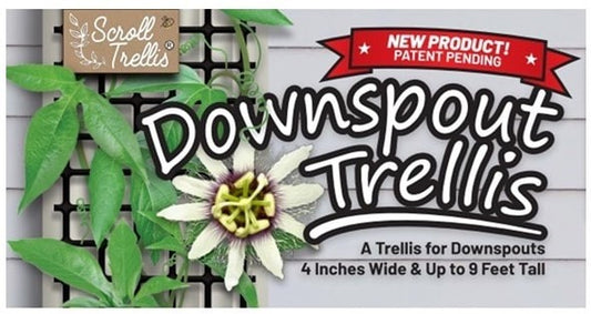 Scroll Trellis Downspout Gutter Trellis Support for Outdoor Climbing Plants - Scroll Trellis, LLC